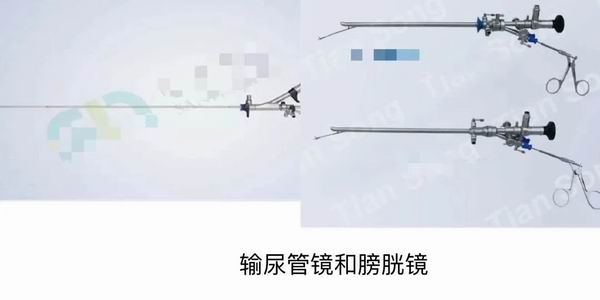 调整大小 微信图片_20230613120055.jpg